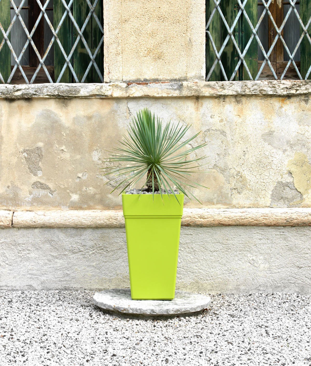 Teraplast Stalk Altezza 65cm - Vaso Alto Da Esterno E Da Interno In Plastica Opaca, Colore Antracite, 100% Riciclabile Con Riserva D'Acqua. Portavaso Alto A Base Circolare.