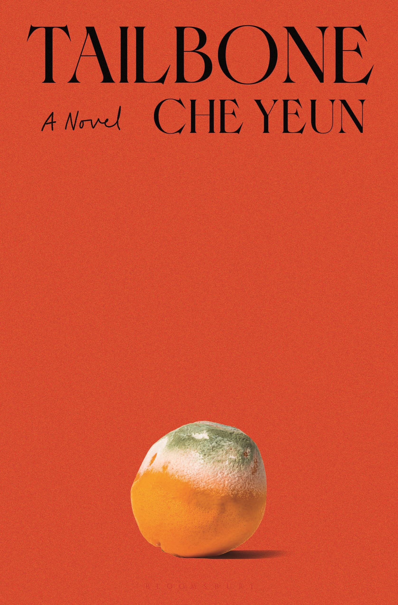 Tailbone: A Novel