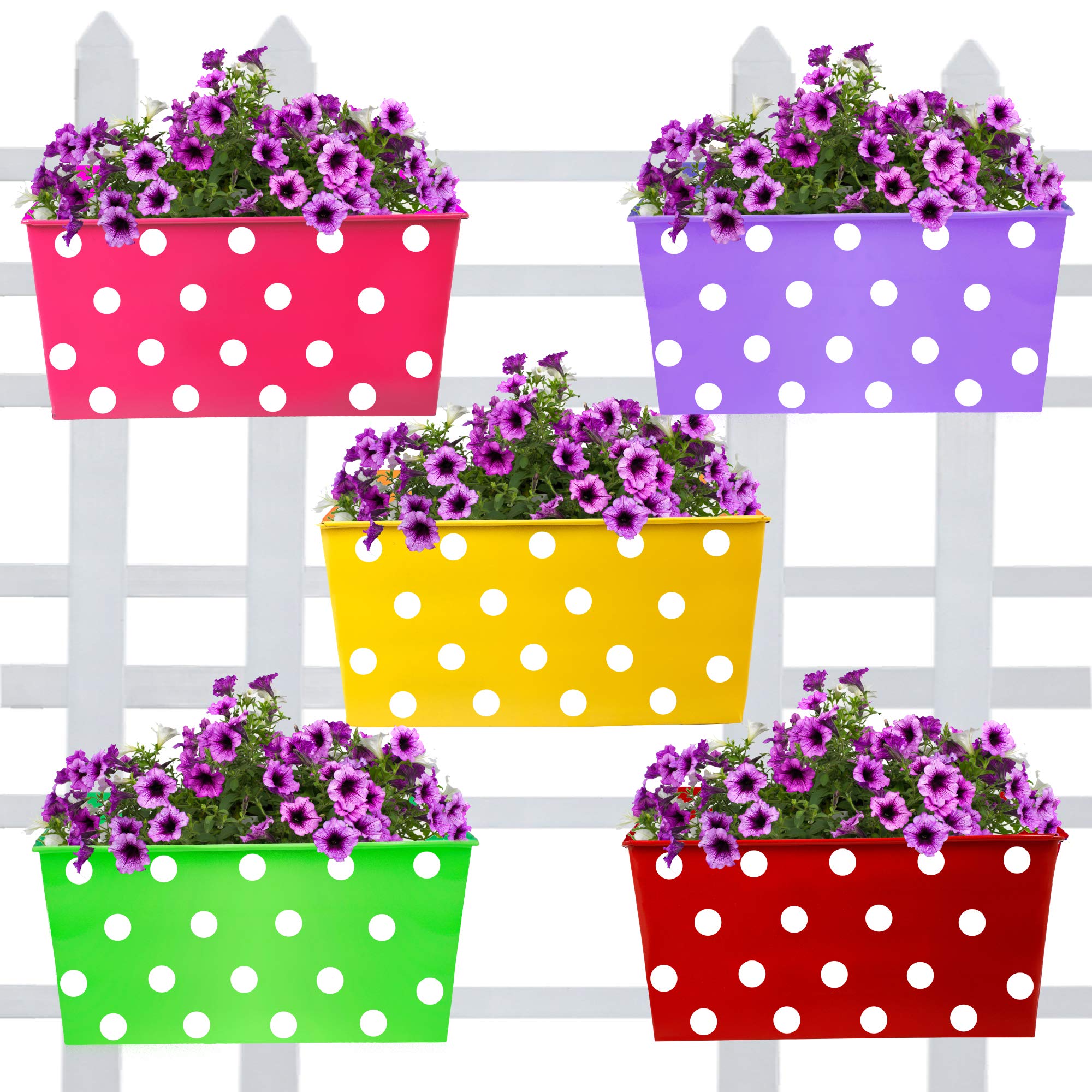 TrustBasket Rectangular Dotted Balcony Railing Garden Flower Pots/planters - Set of 5 (B07NVFM97Q) Amazon Price History, Amazon Price Tracker