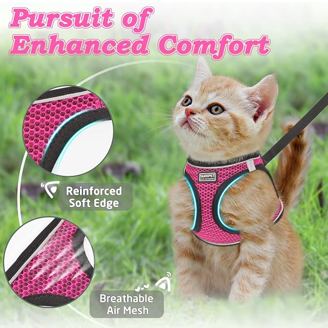 Foto 2 de 7 de Juego de arnés y correa para gatos para caminar a prueba de escapes, chaleco ajustable para gatito