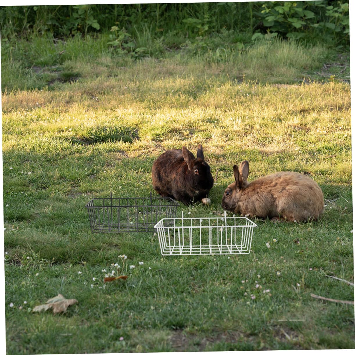 Râtelier à Foin en Fil de Fer pour Lapins, Lot de 4, Cage | Blanc et Noir, Installation Facile, pour Petits Animaux, Réduit le Gaspillage de Foin