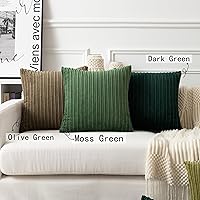 Vista 46 de UGASA - Juego de 2 fundas de almohada de terciopelo a rayas, funda decorativa para cojín con cremallera oculta para el hogar, sofá, dormitorio