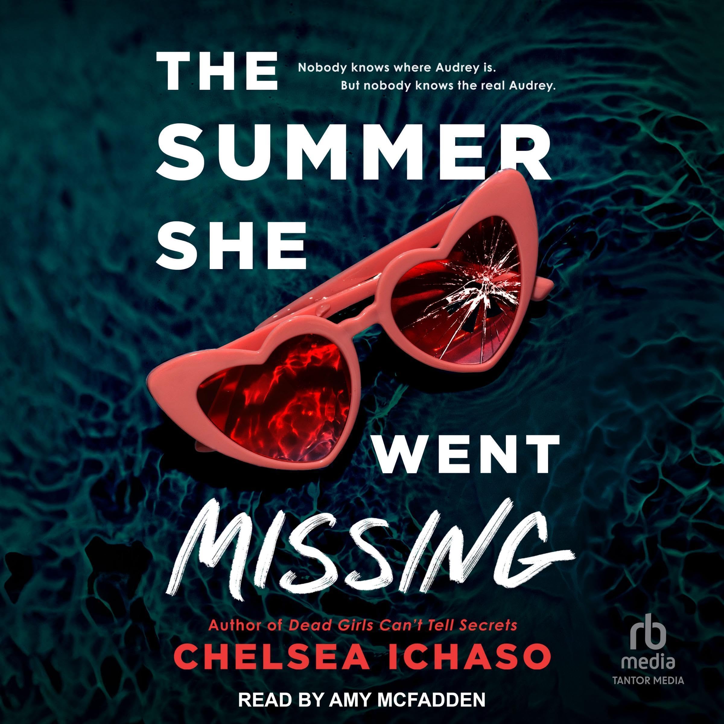 Cover art for The Summer She Went Missing