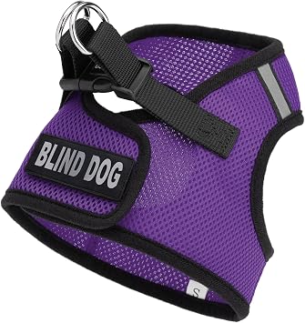 Dogline Boston Step in Mesh Dog Harness with Blind Dog Patch No Choke Pet Vest Soft Gentle Padded Chest Halter for Puppies Small Medium and Large Dogs 32 to 36 inches Girth Purple