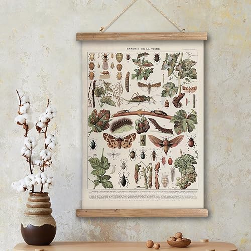 Miniatura 214 de XIAOAIKA Póster de botánica vintage con marco de madera, tabla de plantas venenosas antiguas, arte educativo botánico con especies peligrosas, 1