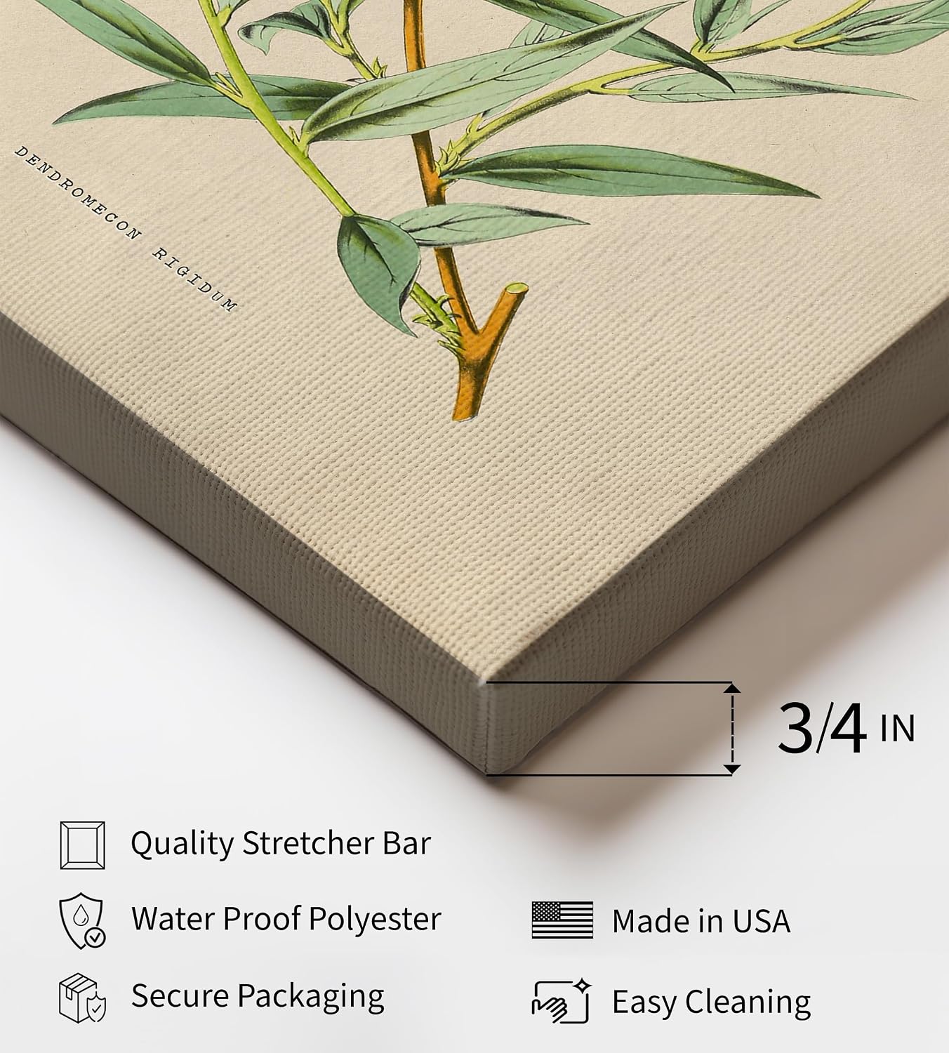 Poster Master Vintage Bush Poppy Canvas - Retro Flower Print - Botanical Art - Floral Gift for Men & Women - Aesthetic Wall Decor for Office, Living Room or Bedroom - 8x10 STRETCHED Canvas