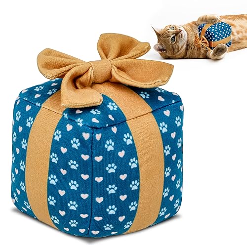 Gift Box Catnip Toy – Christmas & Birthday Cat Toy