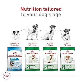 ２個パック CANIN mini INDOOR adult S Amazon.com: Royal Canin Size Health Nutrition Small Adult