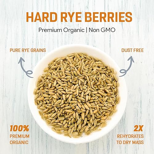 Miniatura 5 de Mycology Basics - Bayas de centeno para engendro de hongos  Grano de centeno orgánico triple lavado para hacer granos de setas, 5 libras