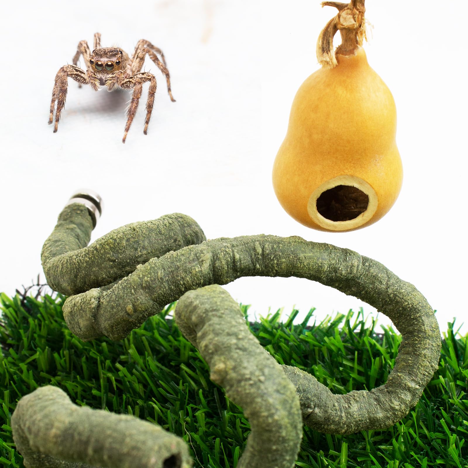 FlidRunest Jumping Spider Gourd Hide, 2 Pack Bendable Climbing Vine With Magnets, Spider Enclosure Accessories Kit, Pet Habitat Hideout