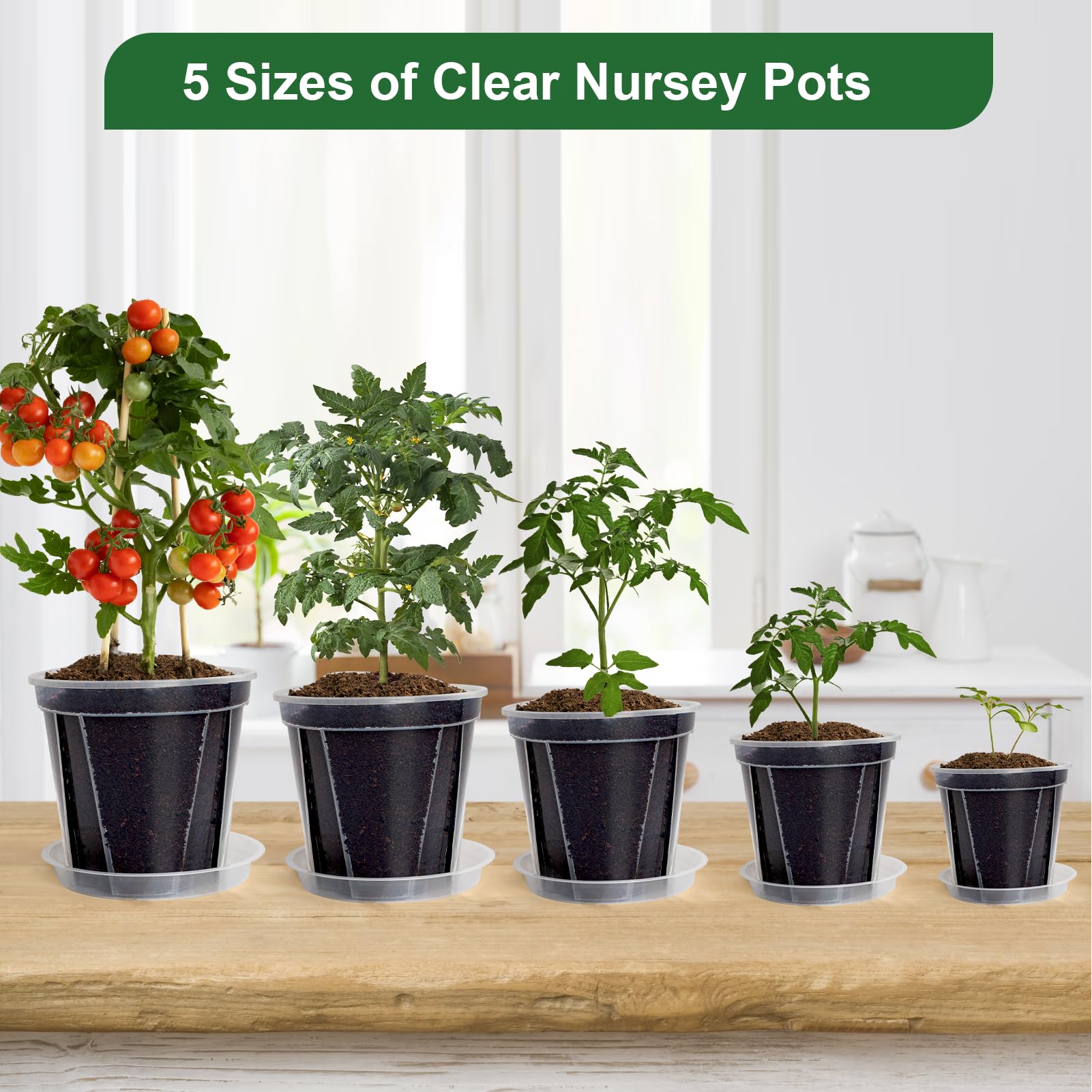 Pots Transparents avec Trou de Drainage, 10-16 cm, Renforcés avec Soucoupe, Pack Variété Plastique pour Semis