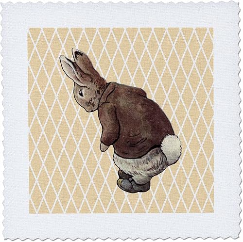 3dRose qs_79403_1 Vintage Peter Rabbit Art Animales - Colcha cuadrada de 24.8 x 24.8in