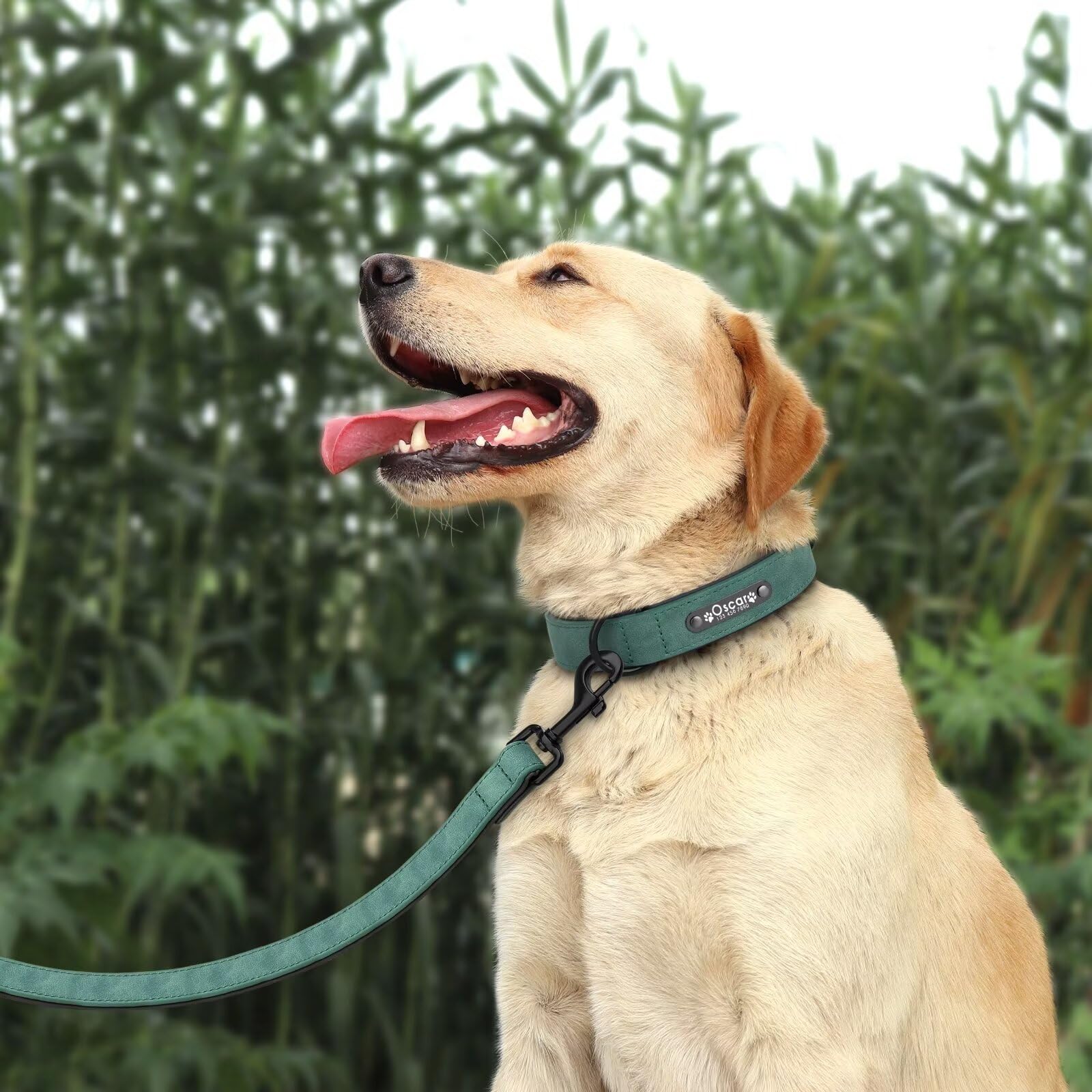 Didog Personalisiertes Lederhalsband & Leine – Geflochten, Gepolstert, Größe XL (bis 47 Cm), Rot