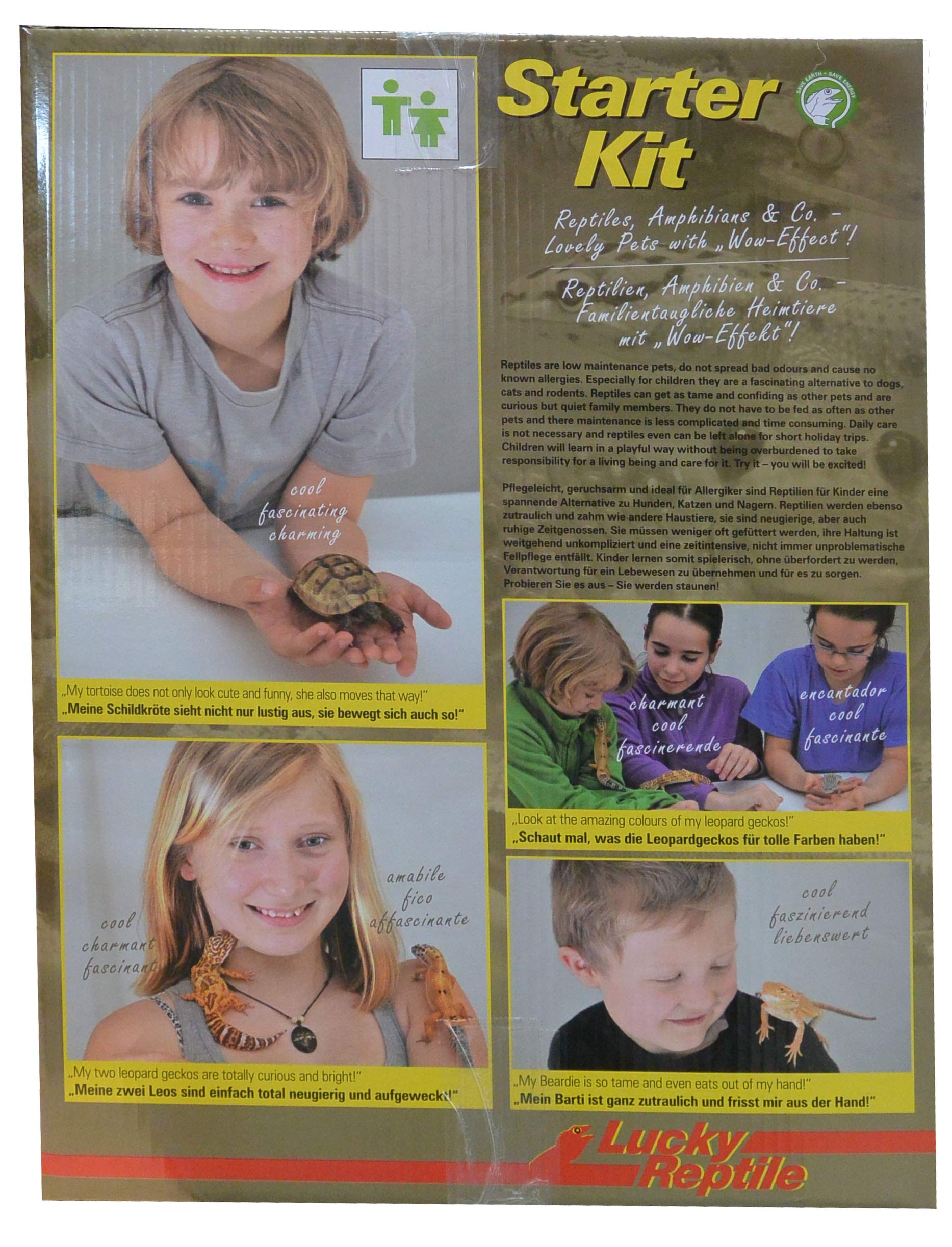 Lucky Reptile Starter Kit Bombina/Pacman 80 cm - Set Completo di pregio per terrario per Rane - Set terrario con separazione in Vetro e Filtro Interno - Kit Principianti per Anfibi Bianco