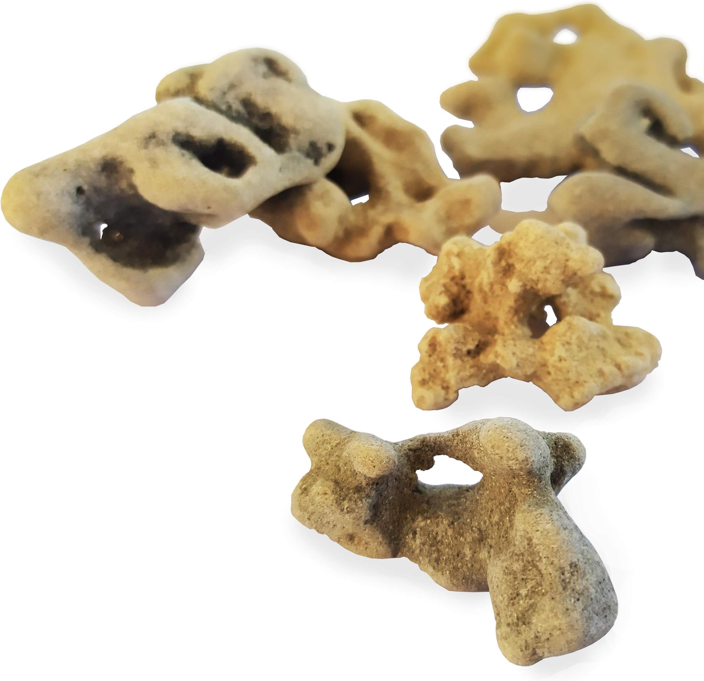 Natural Hag Stone from Mediterranean, Each Unique with Natural Hole, Healing Spiritual Pendant