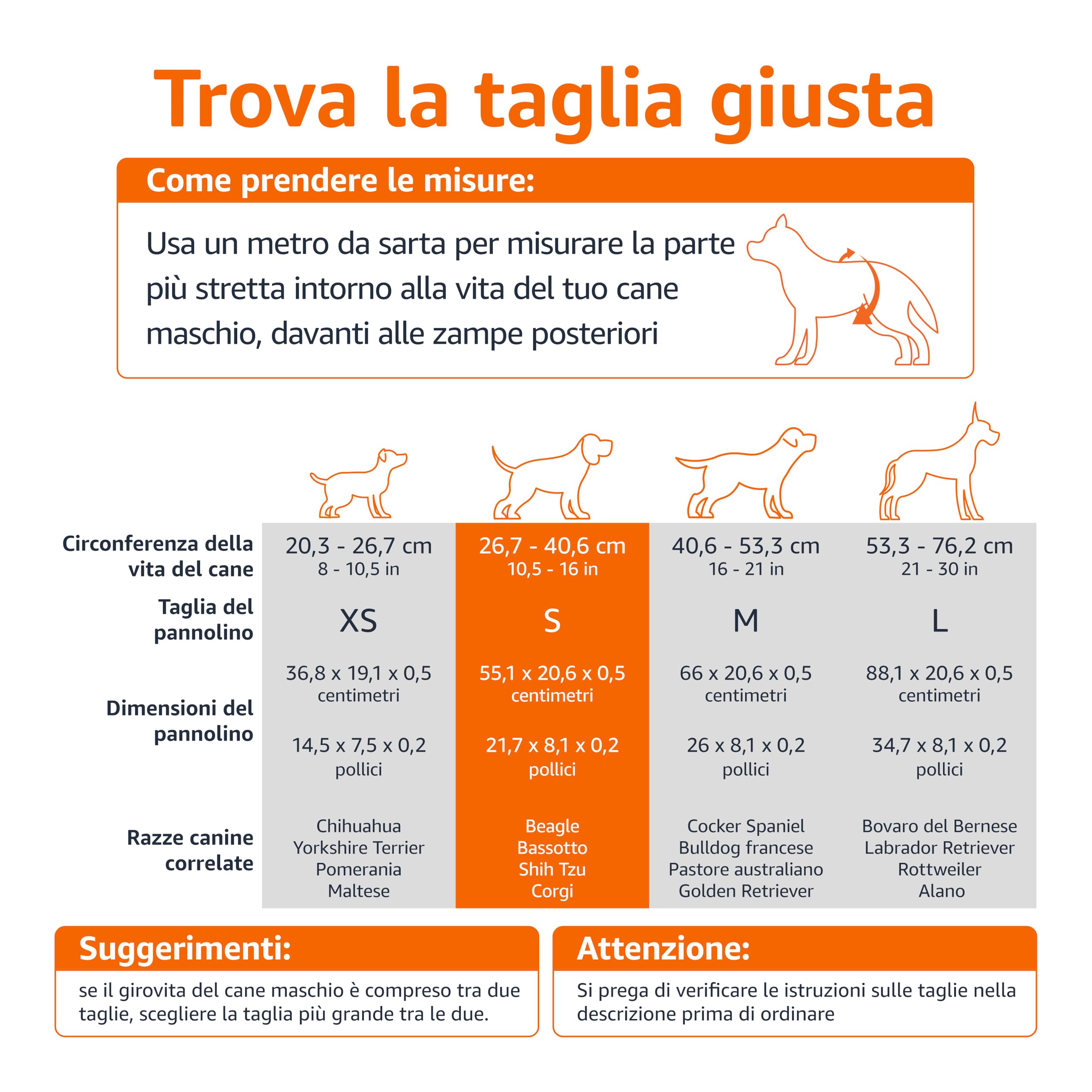 Amazon Basics Pannolini usa e getta per cani maschi, Piccolo (confezione da 30), Bianco