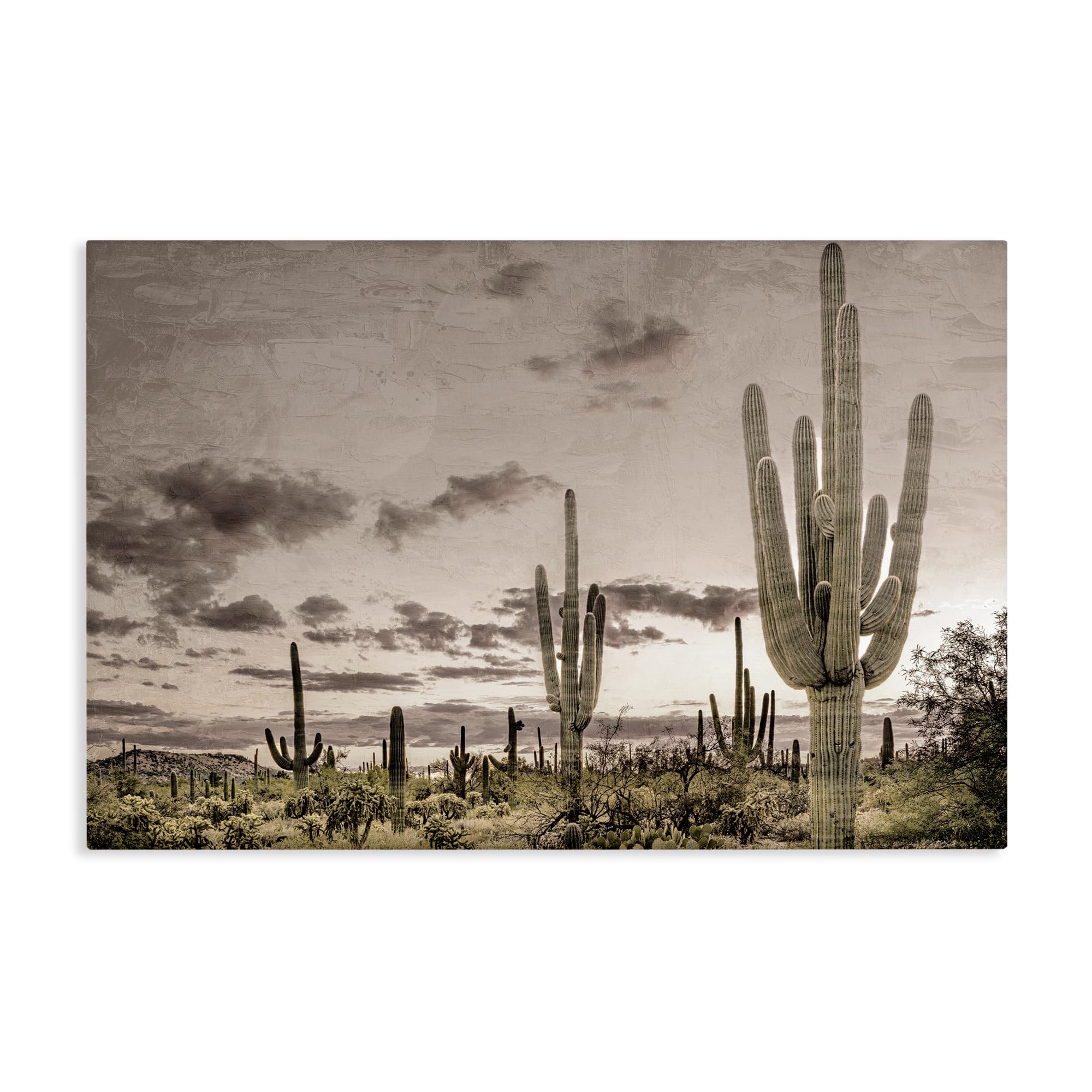 Desert Sky Wilderness Landscape, 20 x 30 Inch Canvas Wall Art
