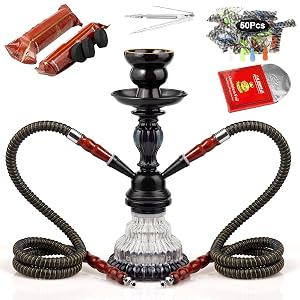 2 Hose Hookah Set 11 Glass Hookah Shisha with Stable Glass Vase Base with Coals Tips and Foil