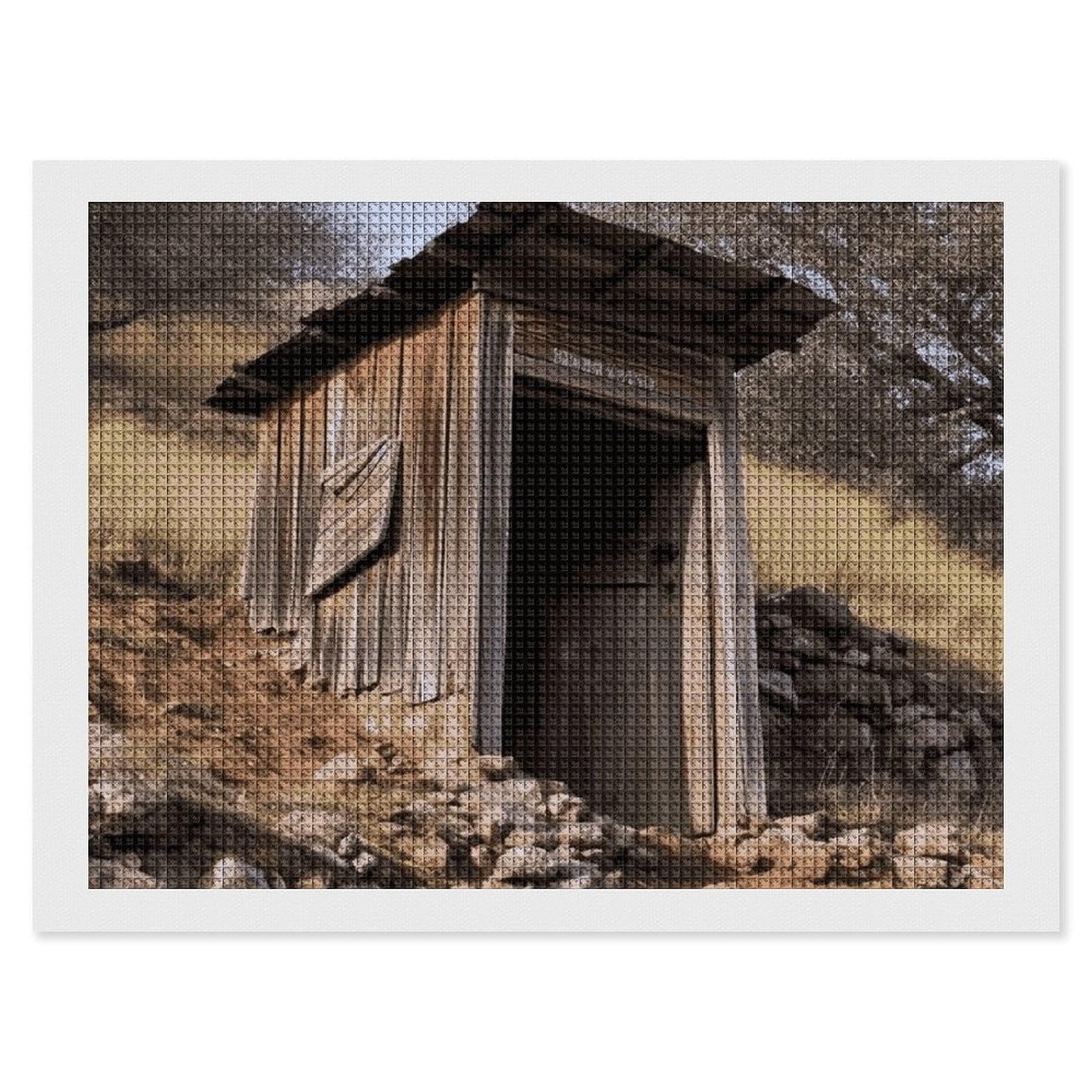 Amazon.com: Diamond Painting Kits for Adults Diamond Art Kit for