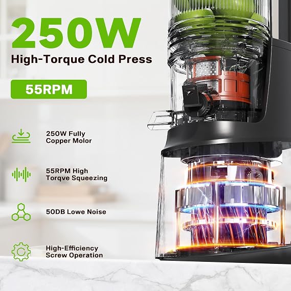 Cold Press Juicer, Juicer Machines with 5.3 Wide Feed Chute, Slow Masticating Juicer for Whole Fruits and with Vegetables High Yield (Gray)