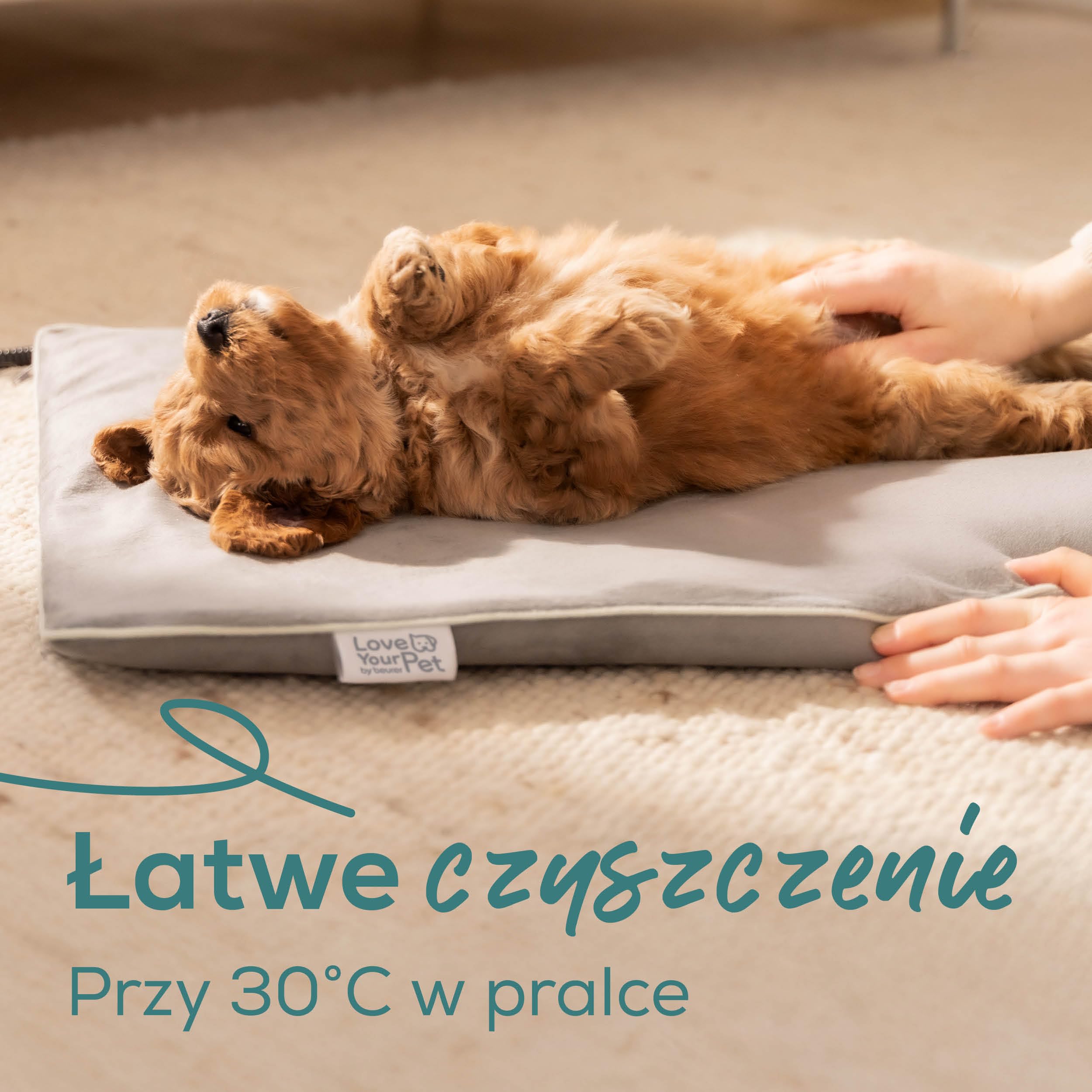 Beurer Love Your Pet Mata rozgrzewająca S „Lilli” z serii dla psów i kotów, z timerem, poduszka elektryczna, możliwość prania w temperaturze 30°C, odporna na zadrapania i wodoszczelna, 41 x 34 cm