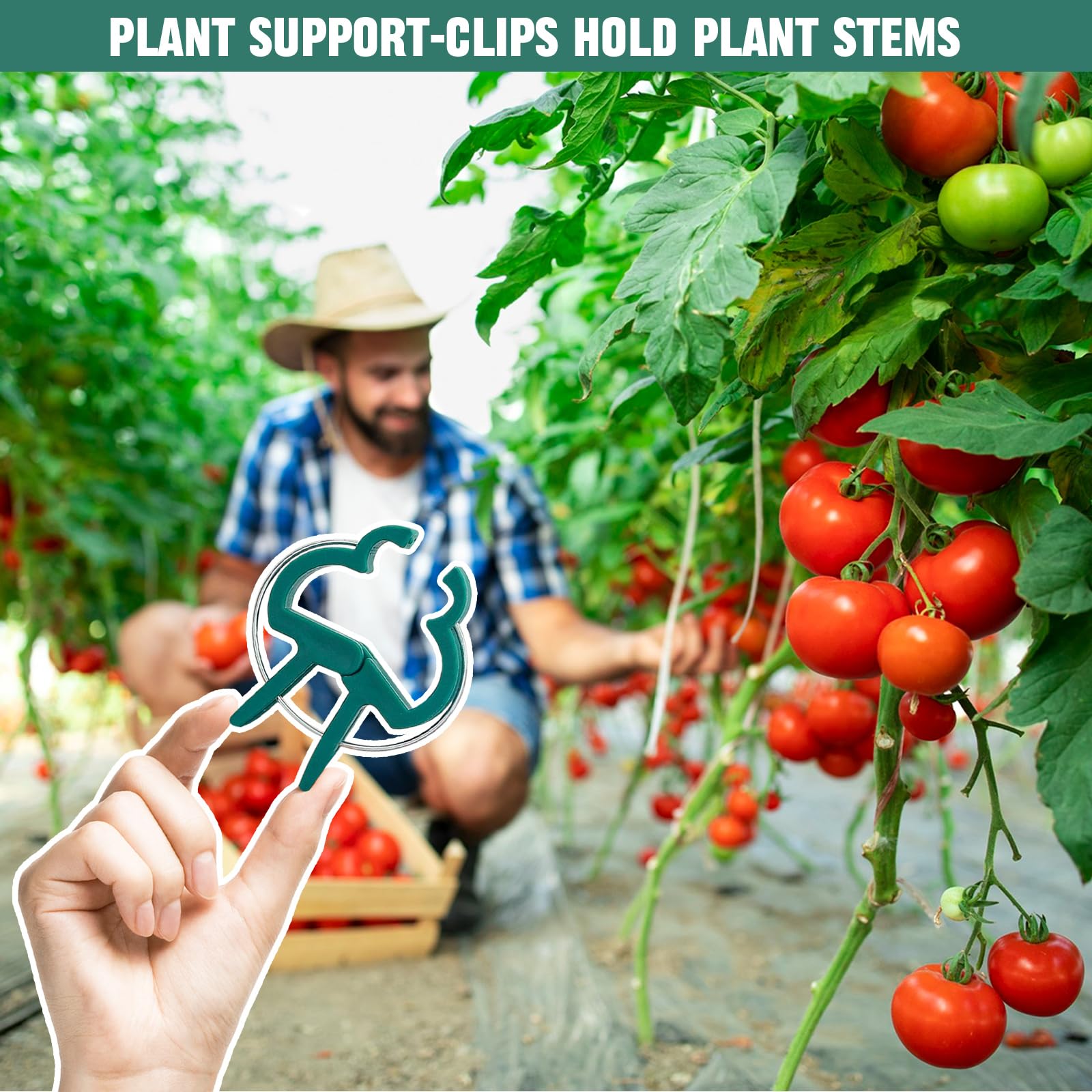 100 Clip Di Supporto Per Piante, Ideali Per Pomodori, Viti E Ortaggi Strumento Utile Per Coltivazione Verticale 95854399