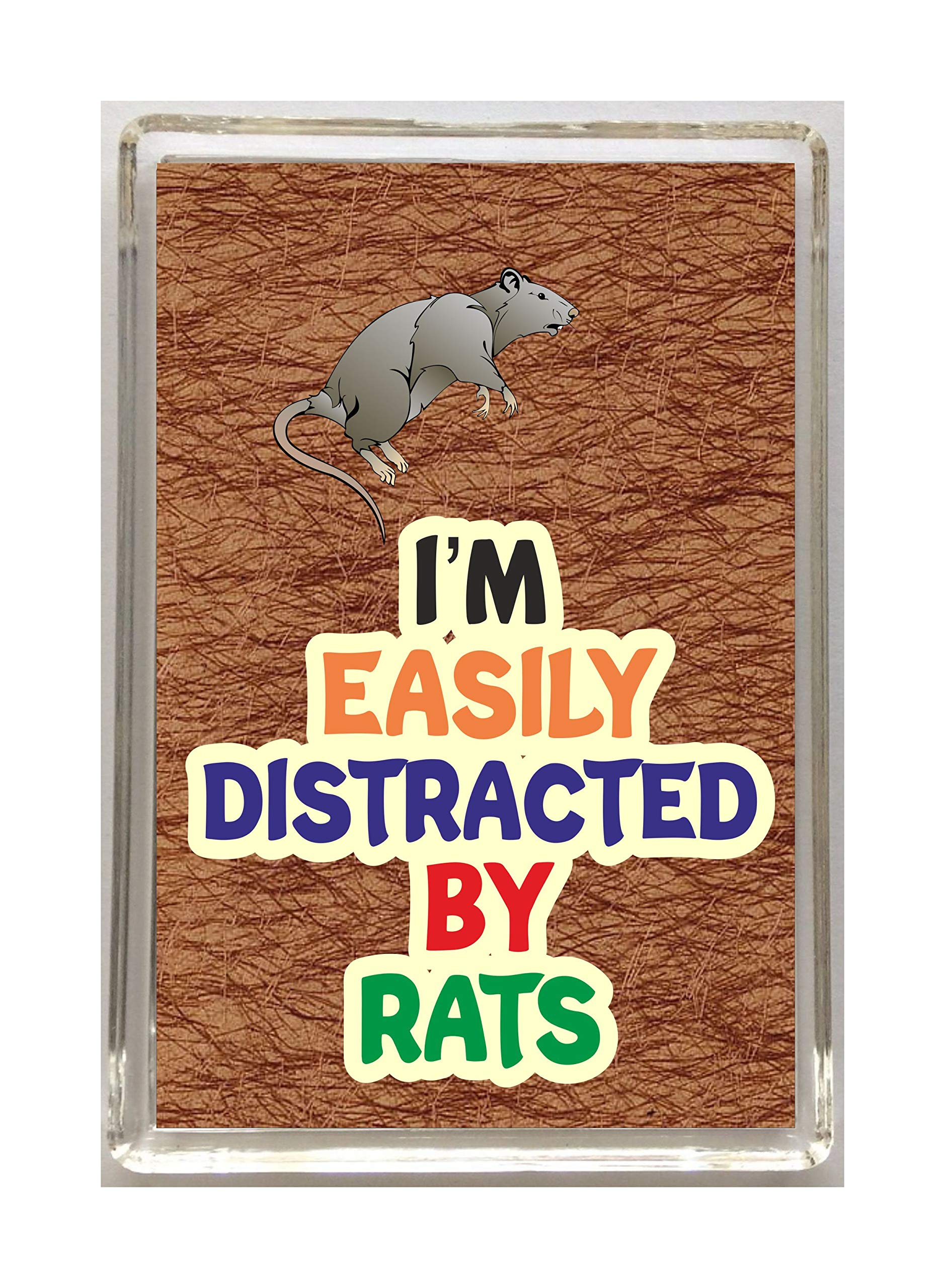 Clare's Cosmetics Multicolor Clare's Cosmetics' 'Fun Animal Lover Gift – I'm Easily Distracted By Rats - Novelty Fridge Magnet