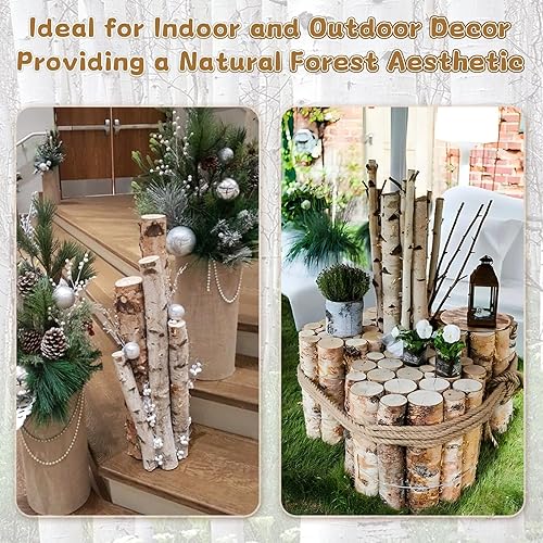 Miniatura 5 de Paquete de 8 troncos de abedul (2.3 a 3.2 pulgadas de diámetro) madera de abedul para decoración de chimeneas, troncos de chimenea, ramas de madera