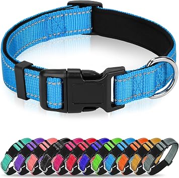 Reflective Dog Collar for Small Dogs with Quick Release Buckle | Comfortable Padded Lining, Stay Safe at Night, Easy On/Off, Metal D-Ring, Adjustable Fit, for Walking, Aqua Blue