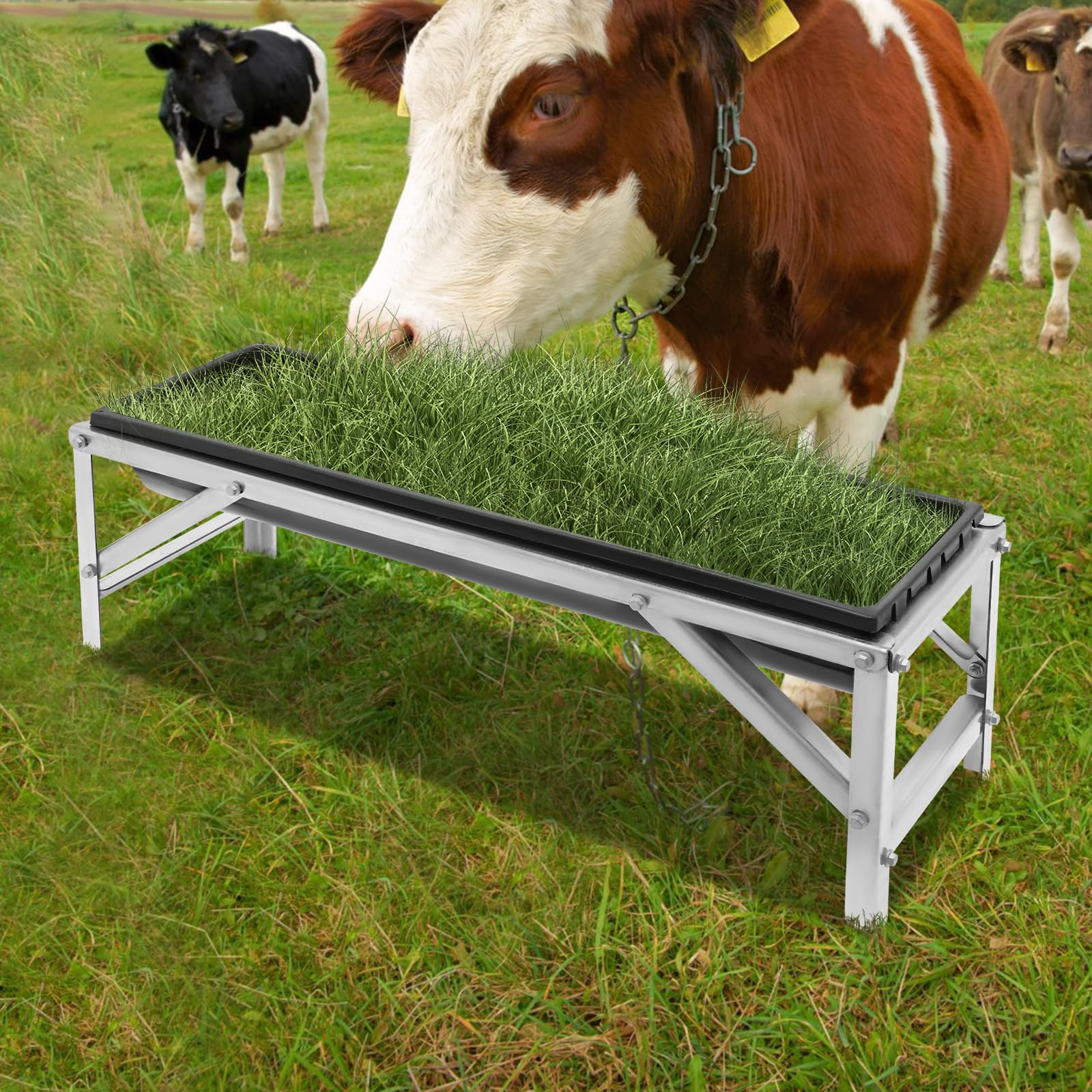 Mangiatoia da 35 l in polipropilene + acciaio zincato, per capre, pecore, cavalli, su entrambi i lati | 100 x 30 x 18 cm, antiruggine, bordi arrotondati, stabile, facile da montare, per stalla e coppia