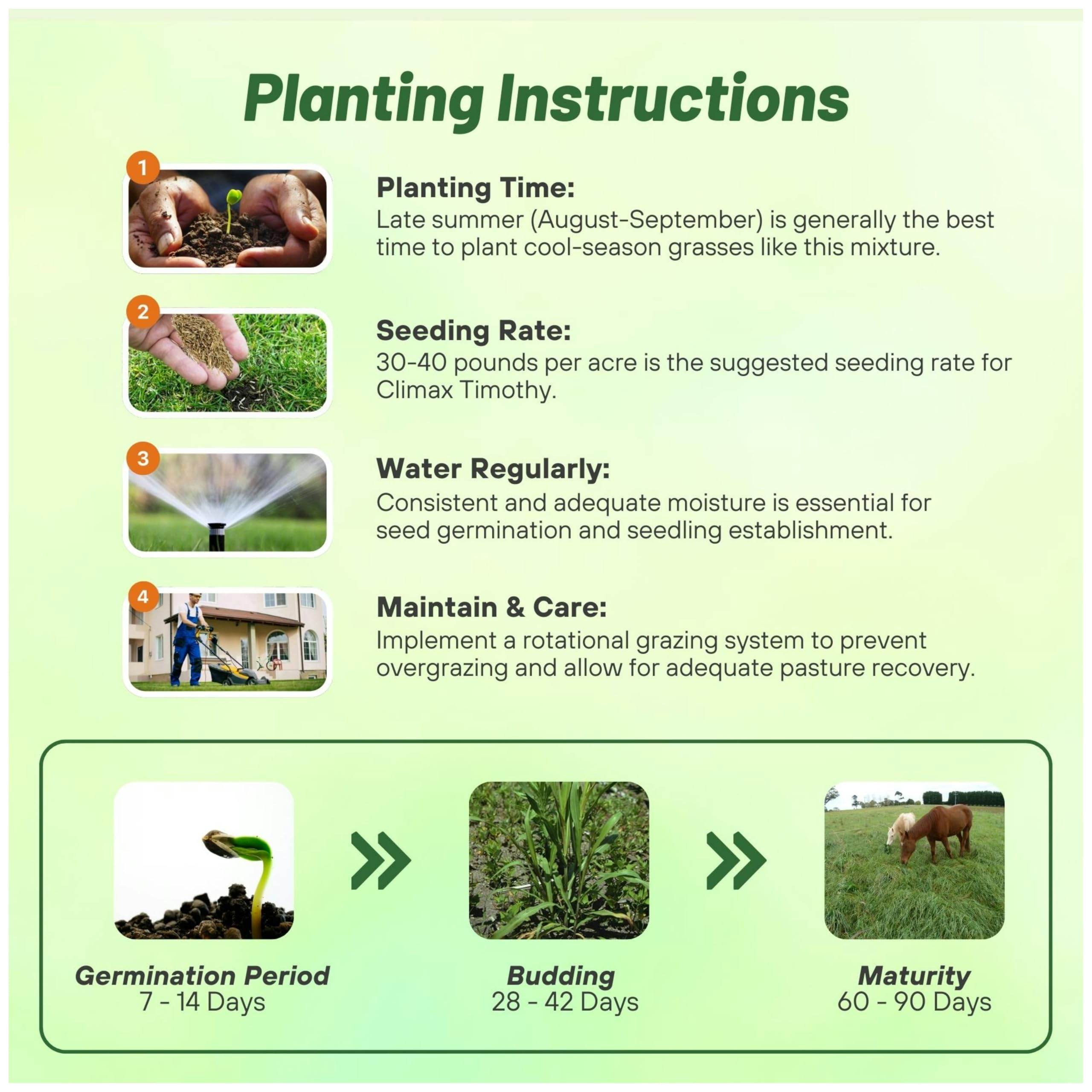 Amazon.com : Outsidepride Horse Cold Climate Grass Seed Mix - 50 lb.  Perennial, Drought & Cold Tolerant, Pasture Seeds for Planting Resilient  Grass Leaves, Ideal for Hay Foraging & Rotational Grazing :