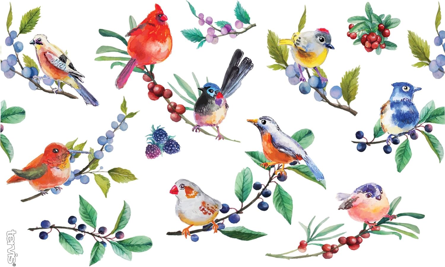 Tervis Watercolor Songbirds Made in USA Double Walled Insulated Tumbler Cup Keeps Drinks Cold & Hot, 16oz, Clear - Image 2