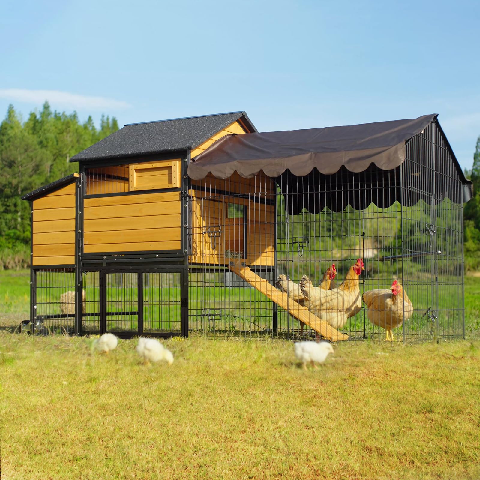 Suumerpety Mobile Chicken Coop