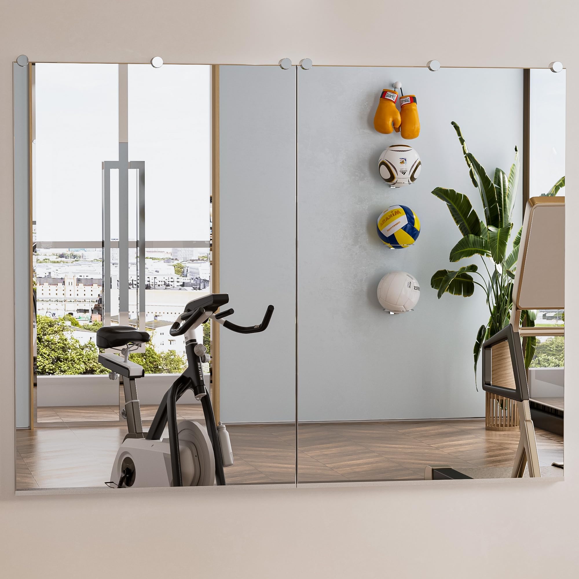 MeowWoof Large Wall Mirror for Home Gym, Wall Mounted Gym