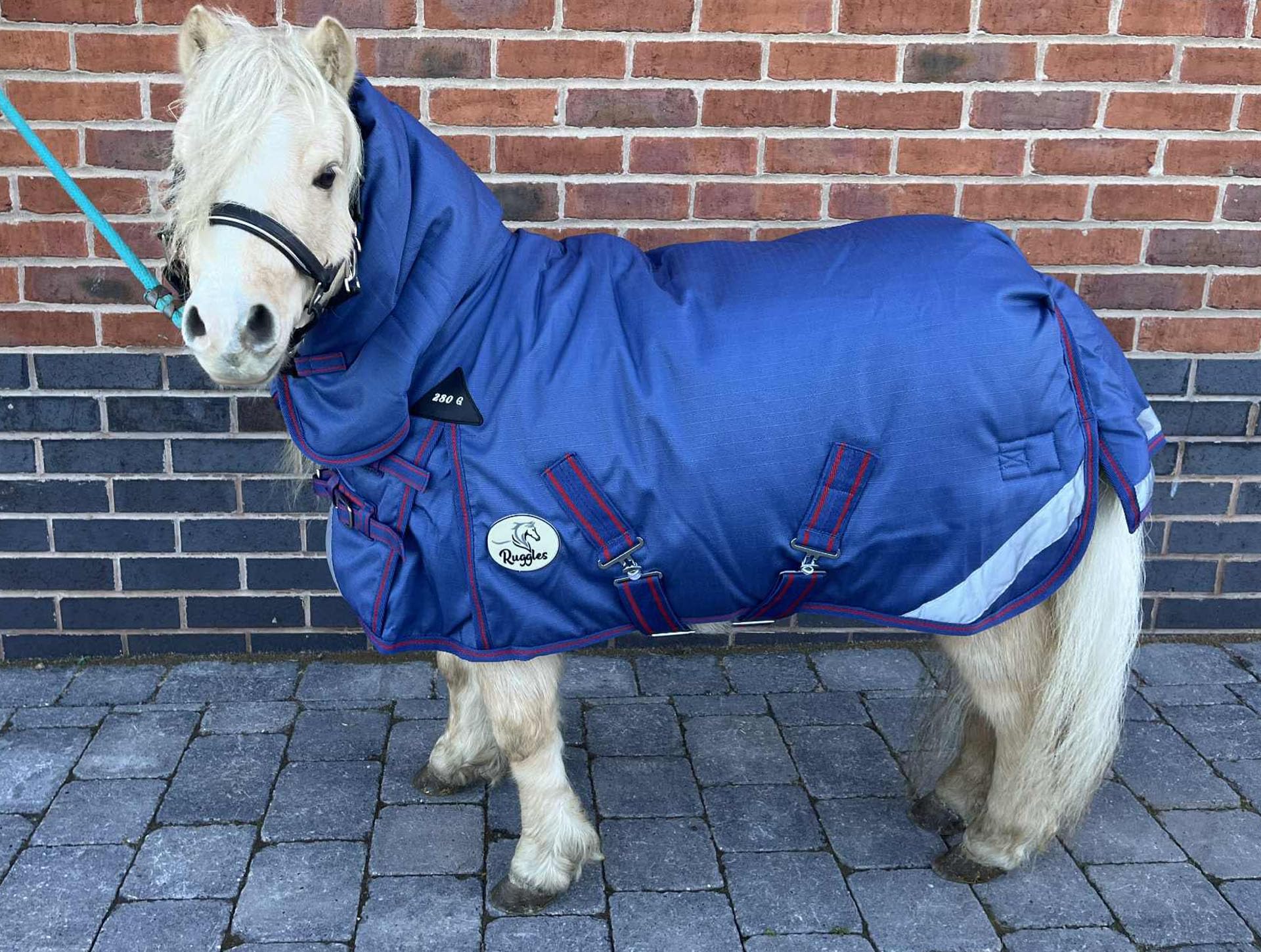 Ruggles 280g Middleweight Combo Turnout Rug for Shetland Donkey Section A Miniature Horse | Waterproof/Breathable Teflon Coated | Ideal Protection in Colder Weather (Navy, 4' 9")