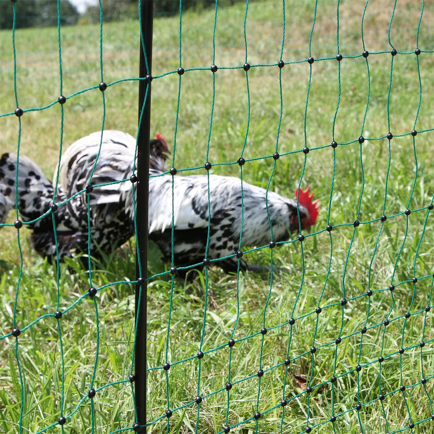 Red para gallinas “farmNET”, Rollo de 50m de Longitud y 112cm de Altura, 16 Postes con Punta Doble y Kit de reparación, Verde, no electrificable