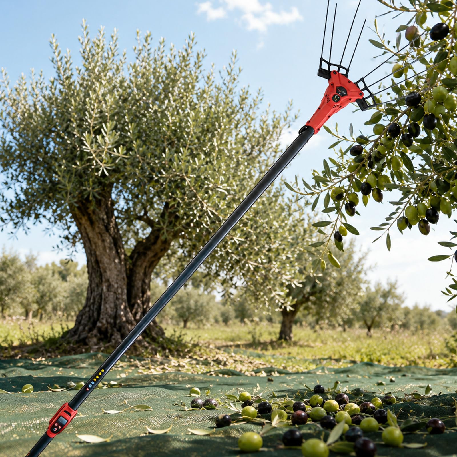 Cosechadora De Aceitunas Eléctrica, Recogedor De Aceitunas con Motor Brushless 250W/600W, Pértiga Telescópica 175-270 cm, 6 Velocidades, Pantalla LED Y Cable 10m 250W-ToolOnly