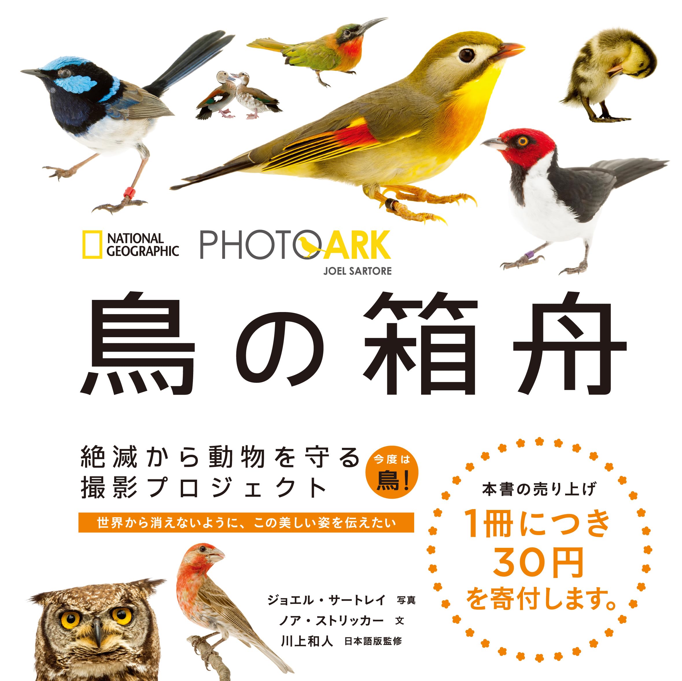 Birds : The Art of Ornithology　絶滅鳥 Birds : The Art of Ornithology 絶滅鳥 Birds : The Art of