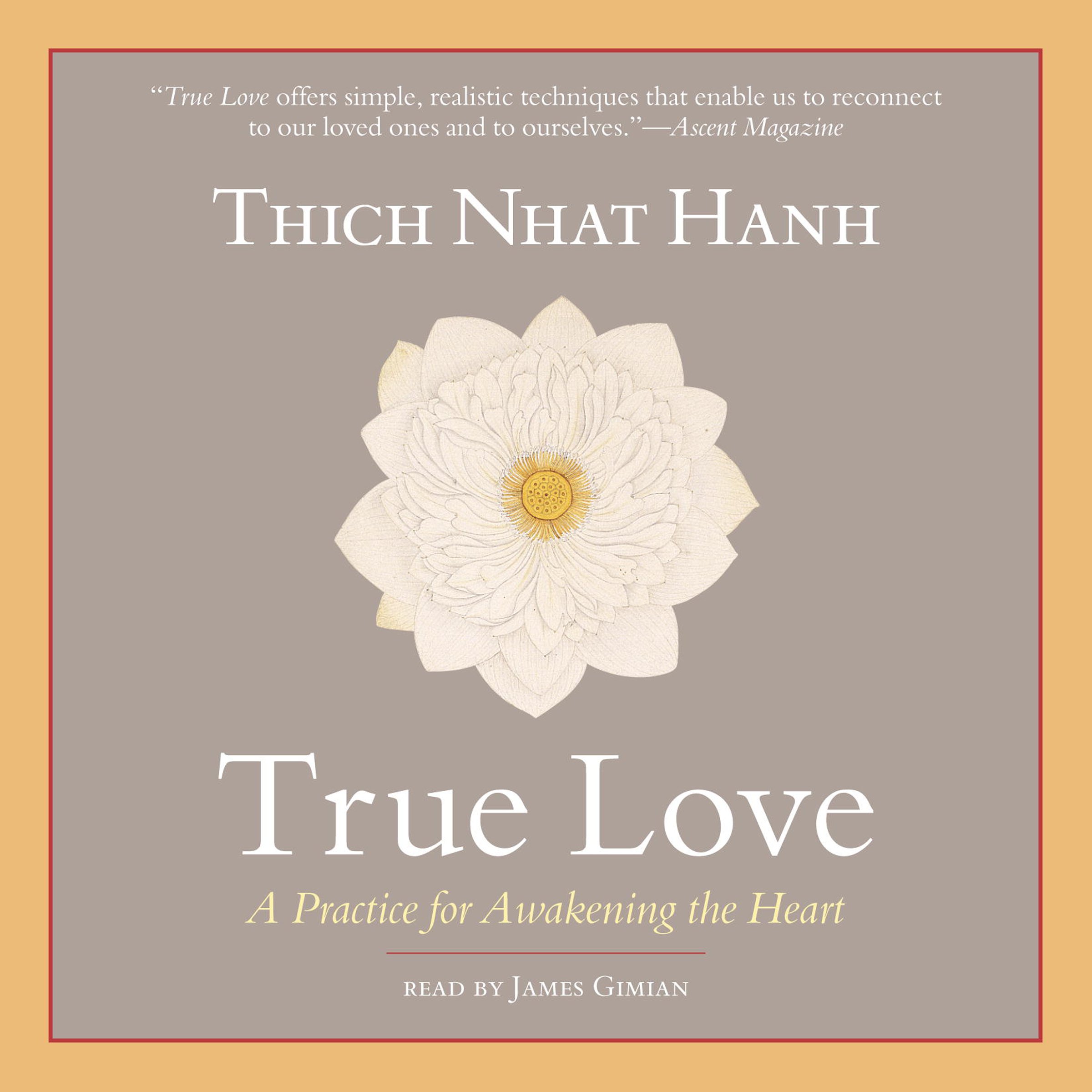Cover art for True Love