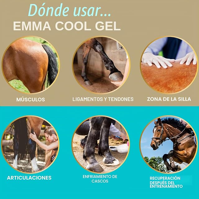 Foto 4 de 8 de EMMA Bálsamo para Caballos 500ml Gel Refrescante con Pomada de Árnica Gel Extra Fuerte I Tendones