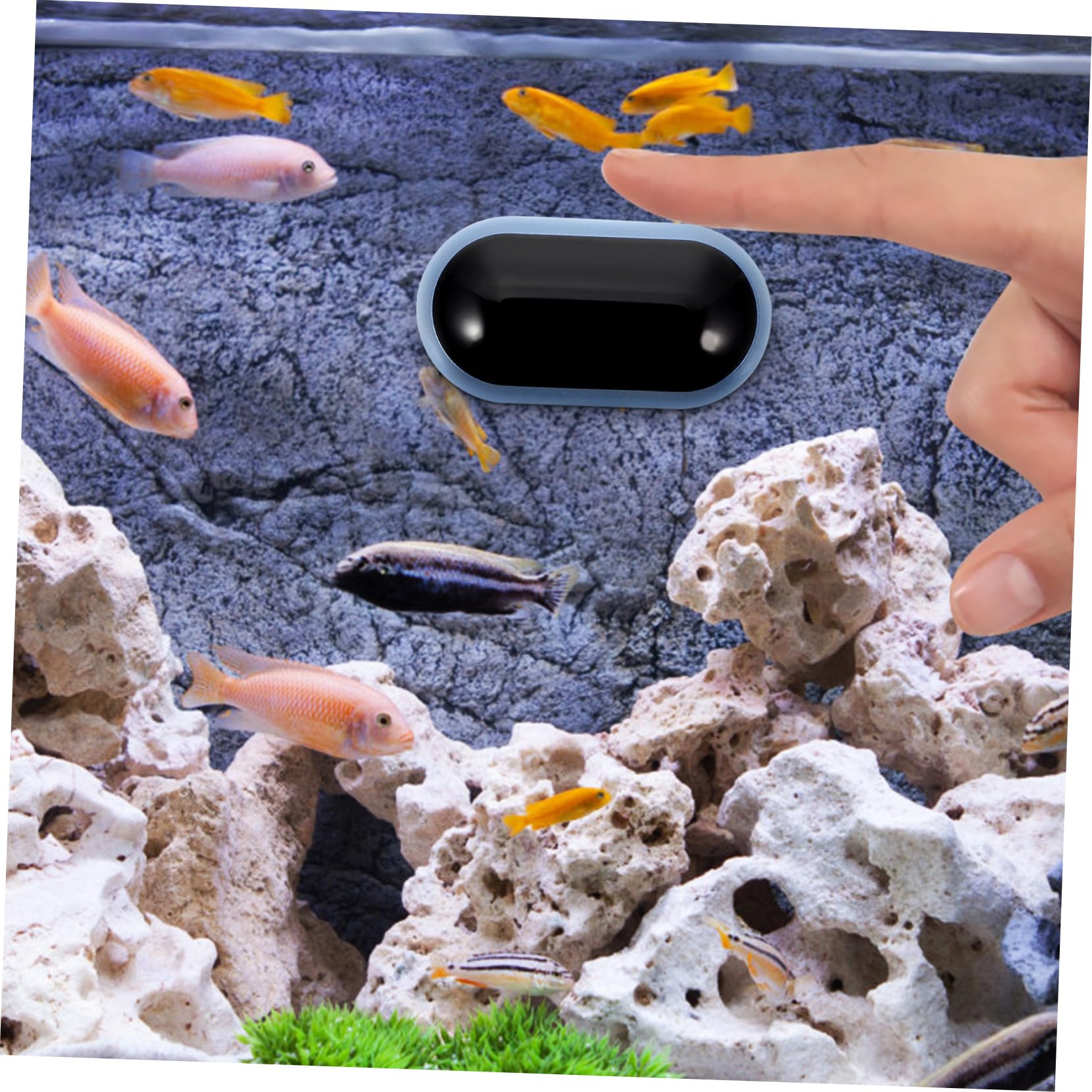 BESPORTBLE 4stücke Digitaler Aquarium Thermometer Wasserthermometer Mit Großer -anzeige Für Präzise Temperaturmessung Im Fischbecken Terrarium Und Pool Und Einfach Zu Bedienen