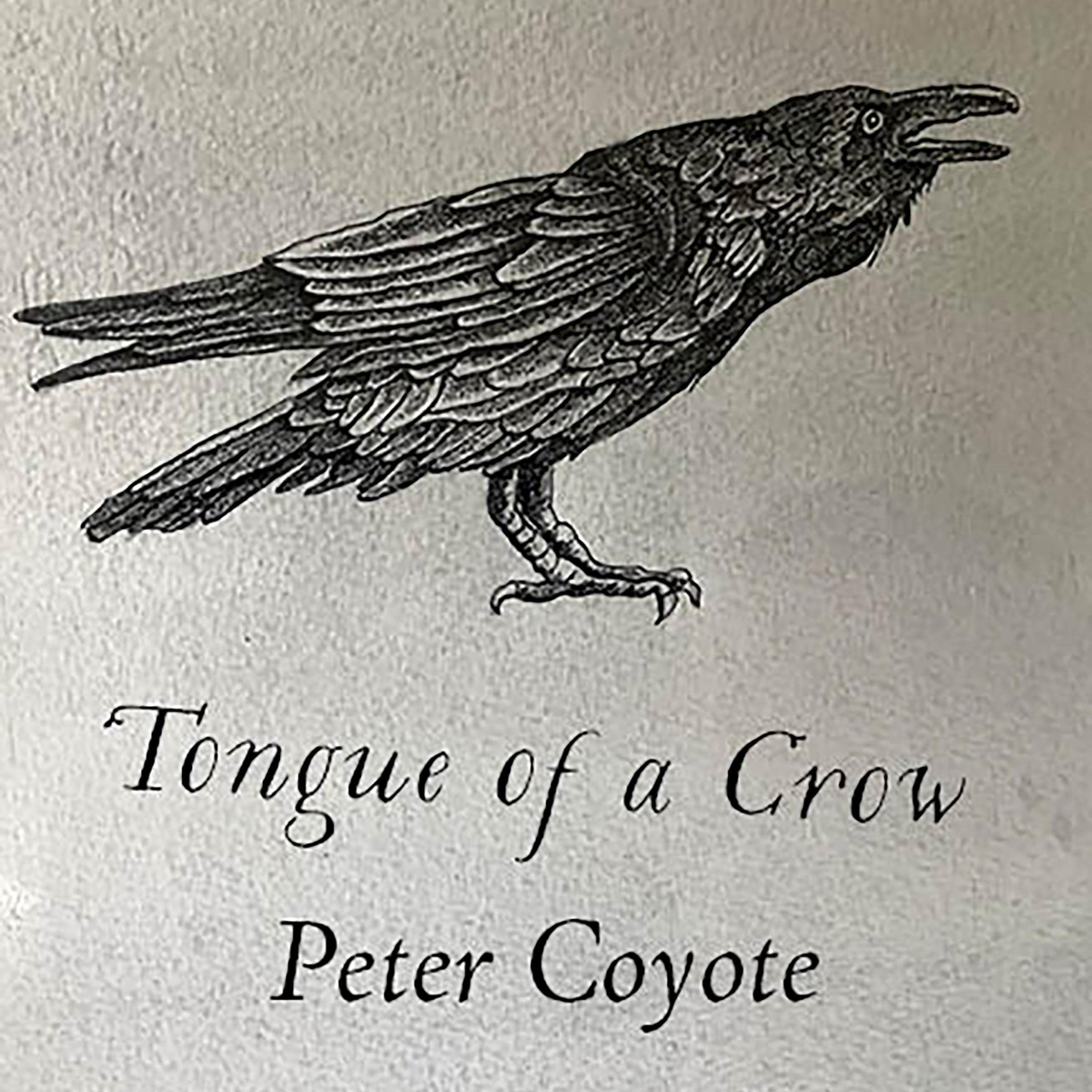 Tongue of a Crow
