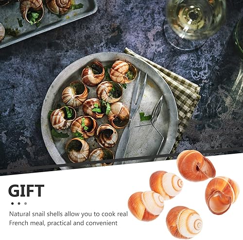 Miniatura 3 de Luxshiny 5 unidades de caracol grandes caracol Escargot caracol caracol decorativo caracol conchas vacías para cocinar la cena