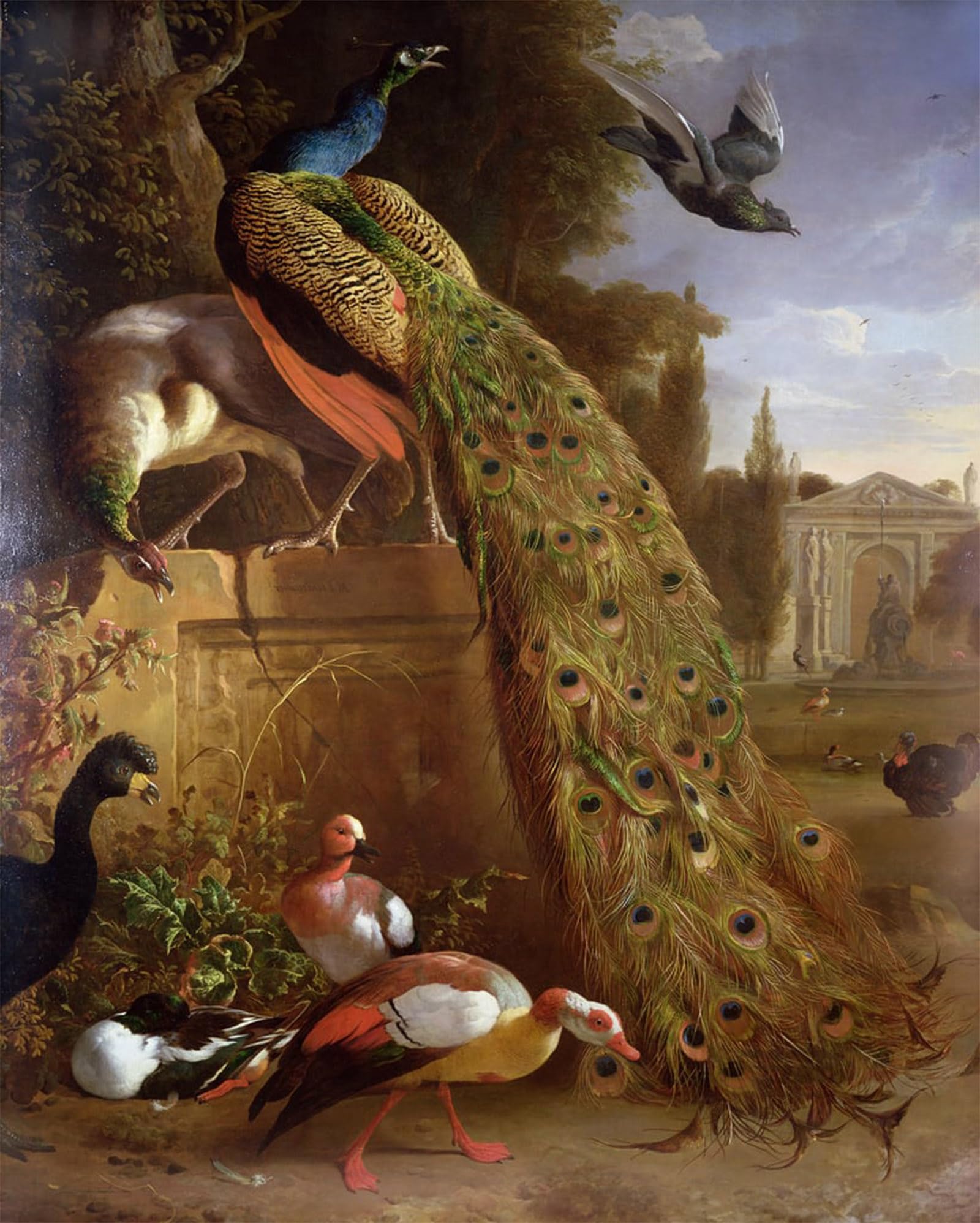 Cuadro en lienzo de pavones y aves Melchior De Hondecoeter 60x90cm 5