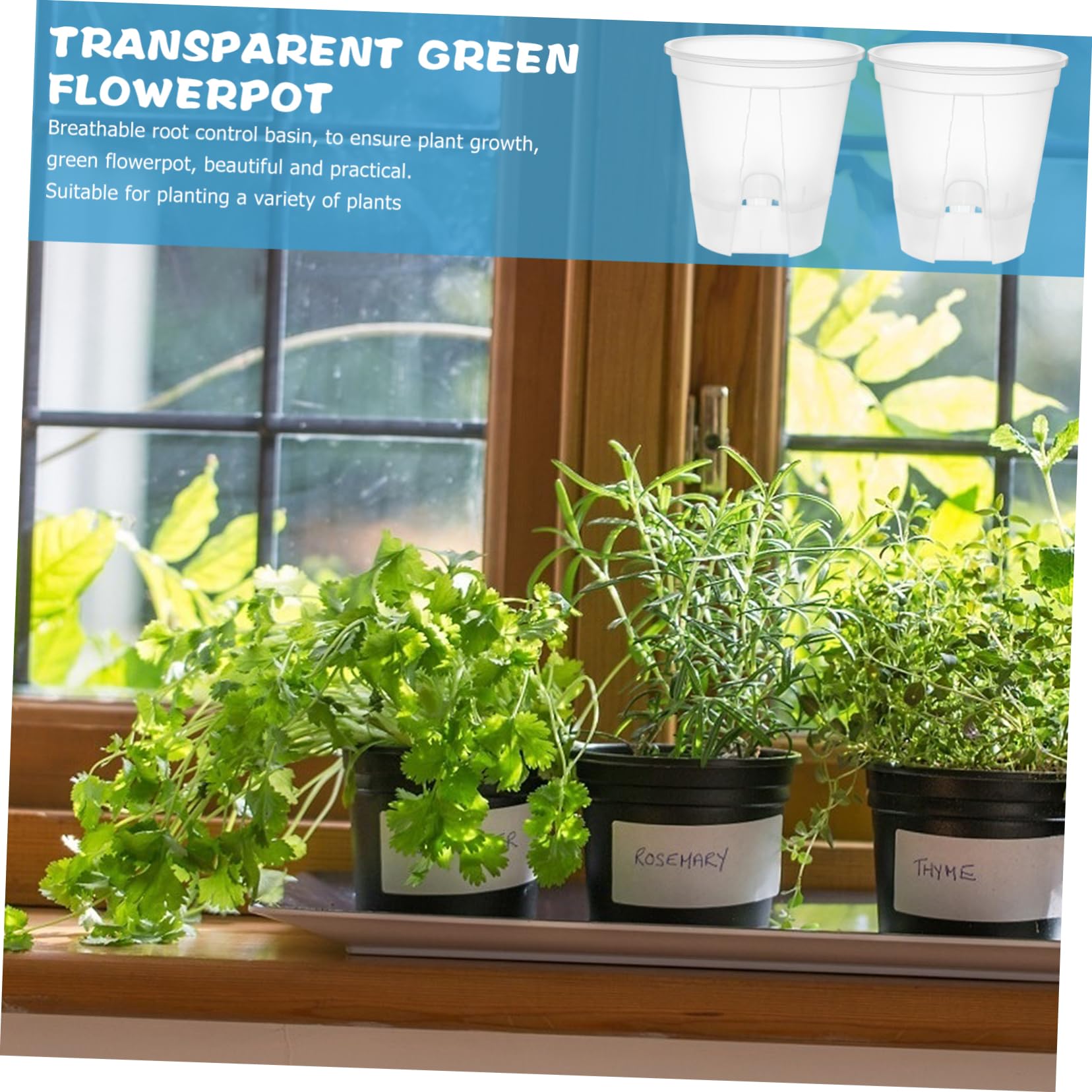 HEMOTON 6 Pièces Pots de Fleurs Transparent avec Drainage Auto Régulant Pots Plastique Clair pour Plantes Intérieur pour Orchidées et Autres Plantes Design Respirant et Portable