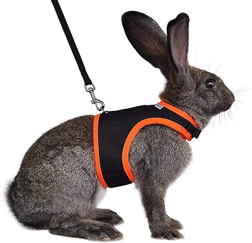 Niteangel Adjustable Soft Harness with Elastic Leash for Rabbits M, Black