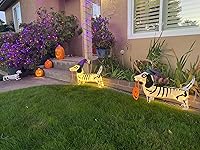 Review Image by dirocco dirocco