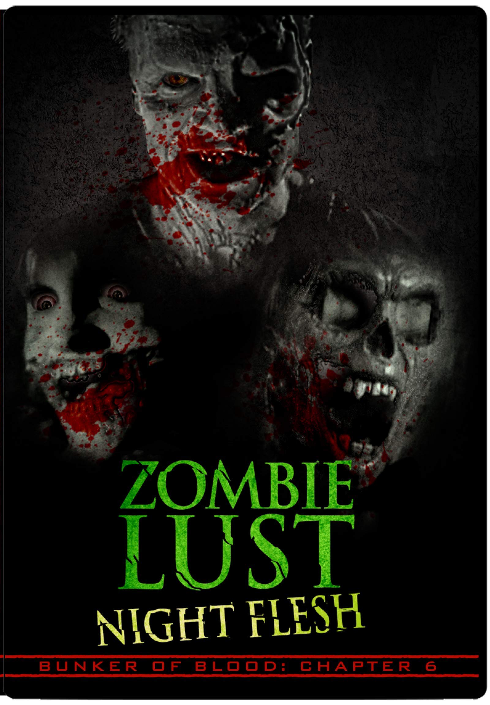 Bunker Of Blood 6: Zombie Lust Night Flesh [DVD]
