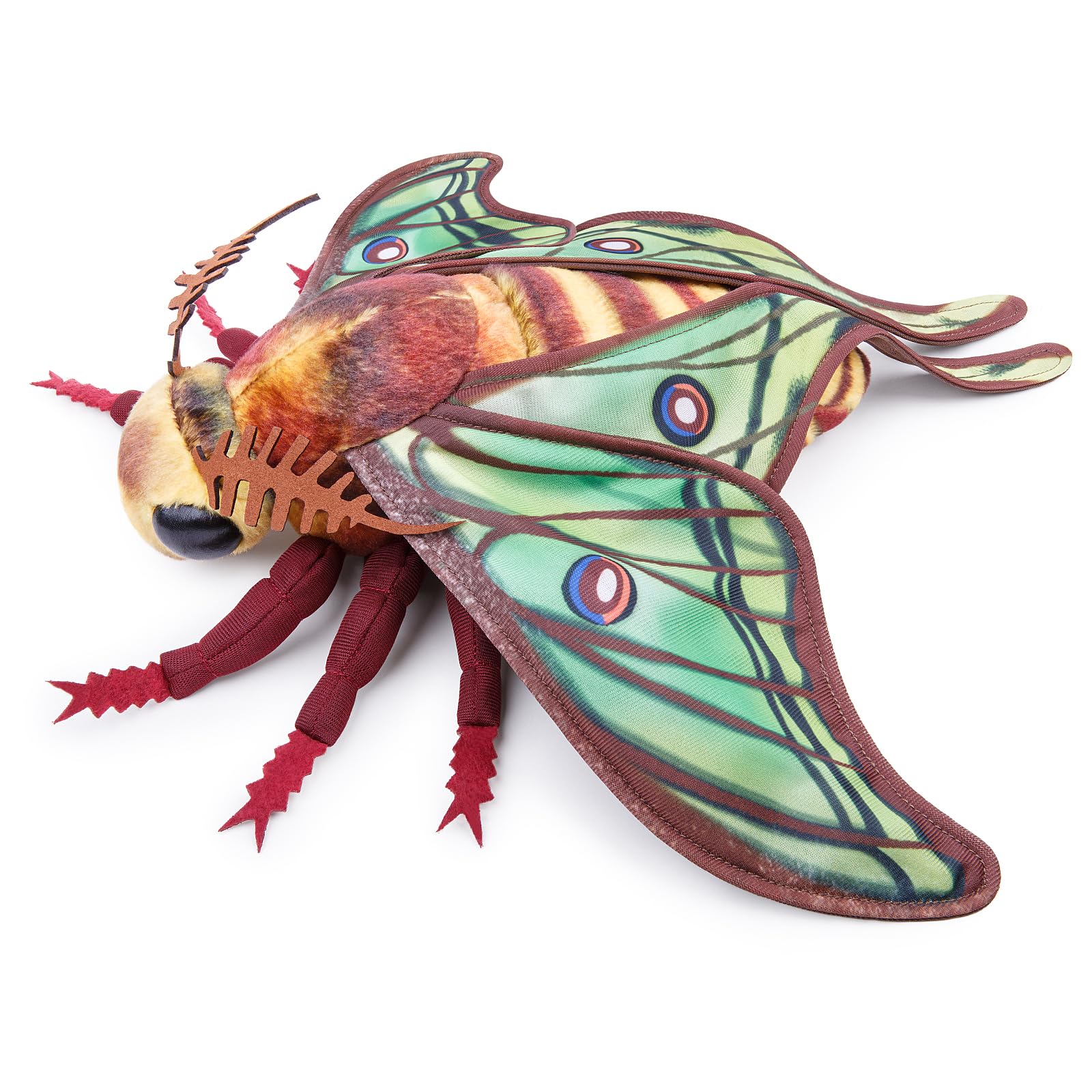 Frankiezhou Home Luna Moth Plush Toy, Lifelike Luna Moth Stuffed Animals 11in, Realistic Soft Big Moth Plushie Model Toy, Unique Plush Gift Collection for Kids