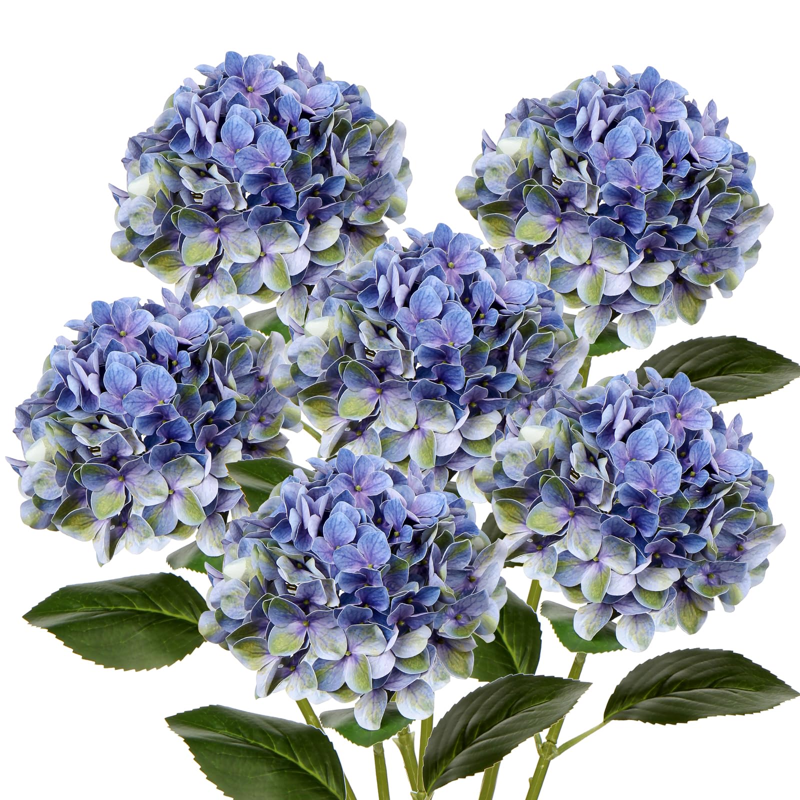 product_img5